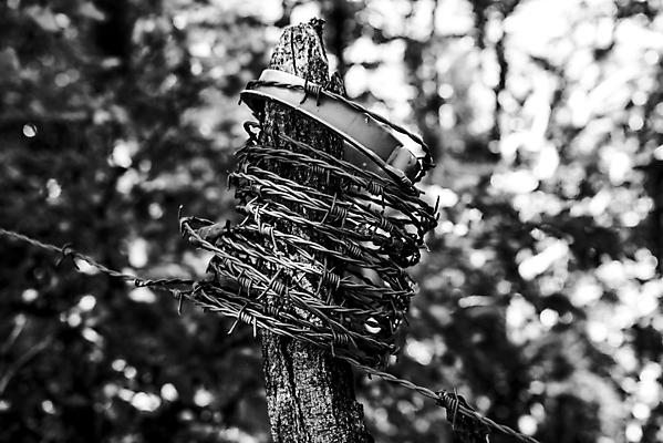 포토 JPG 해외이미지 나무 구름 계절 공원 백그라운드 농업 자연 추상 경고 안전 풍경 사람없음 야외 목재 초록색 여름 울타리 농장 환경 금속 일몰 자유 가을 흰색 경계선 시골 보호 숲 위험 철 감옥 부식 군용 보안 철사 철조망 내추럴 옛날 철강 해외포토 자연요소 식물 공공시설 산업 선 컬러 컨셉 무늬 재료 재질 군대 담장 노을 경계 생태계 파일형식 이미지허브