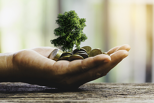 포토 JPG 해외이미지 주간 나무 손 들기 야외 아웃포커스 신체부위 동전 흙 해외포토 자연요소 식물 돈 모션 촬영기법 사람 파일형식 이미지허브