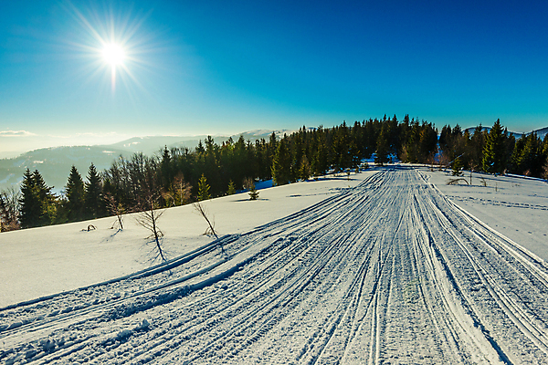 포토 JPG 해외이미지 나무 계절 유럽 여행 백그라운드 겨울 자연 하늘 휴가 산 파노라마 풍경 사람없음 야외 파란색 우주 환경 냉동 얼음 황혼 일몰 하이킹 추위 흰색 시골 야간 숲 신비 서리 북쪽 내추럴 산악지대 절정 폭설 눈내림 가문비나무 해외포토 자연요소 식물 나라 컬러 컨셉 레저 눈_날씨 촬영기법 노을 자연재해 방향 생태계 파일형식 이미지허브