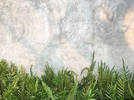 포토 JPG 해외이미지 나무 식물 디자인 벽 백그라운드 잎 패턴 자연 벽지 표면 추상 열대 그림자 풍경 사람없음 야외 장식 초록색 여름 햇빛 환경 정원 회색 수확 흰색 나뭇가지 신선 질감 시멘트 아이비 내추럴 옛날 콘크리트 해외포토 계절 컬러 무늬 농업 태양 생태계 파일형식 이미지허브