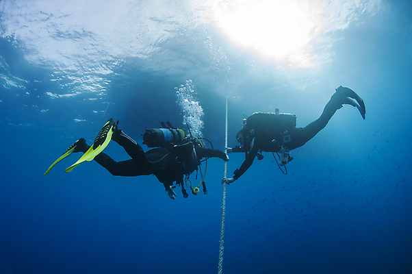 포토 JPG 해외이미지 전신 밧줄 바다 성인 수중 잡기 잠수부 입수 성인만 해외포토 줄 모션 사람 전문직 파일형식 이미지허브