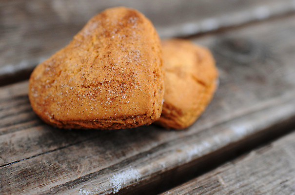 포토 JPG 해외이미지 모양 음식 백그라운드 크리스마스 겨울 휴가 디저트 발렌타인데이 사랑 사람없음 목재 파란색 갈색 쿠키 흰색 하트 달콤 심볼 고립 소셜네트워크 시나몬 스타일 해외포토 나무 계절 기념일 감정 컬러 재료 데이이벤트 맛 파일형식 이미지허브