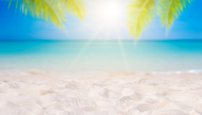 포토 JPG 해외이미지 나무 식물 구름 디자인 행복 모래 파도 바다 섬 여행 백그라운드 잎 자연 벽지 하늘 추상 휴가 휴식 손바닥 풍경 사람없음 초록색 물 여름 파란색 햇빛 태양 맑음 흰색 뜨거움 소프트포커스 휴양지 질감 복고 보케 부드러움 코코넛 내추럴 블러 필터 해외포토 자연요소 손 계절 감정 컬러 컨셉 무늬 과일 날씨 촬영기법 장소 감각 생태계 파일형식 이미지허브