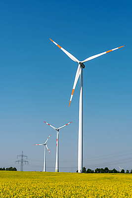 포토 JPG 해외이미지 식물 꽃 농업 자연 바람 사람없음 농작물 글로벌 농장 노란색 환경 힘 발전기 에너지 벚꽃 바퀴 개화 그린에너지 낟알 시리얼 유채 엔진 유지 온실 효과 해외포토 자연요소 산업 음식 컬러 날씨 발전소 생태계 파일형식 이미지허브