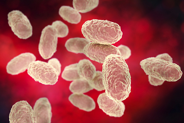 포토 JPG 해외이미지 일러스트 건강 사람없음 3D 고통 질병 감염 전염 미생물 박테리아 기침 해외일러스트 감정 의학 생물 디지털합성 파일형식 이미지허브