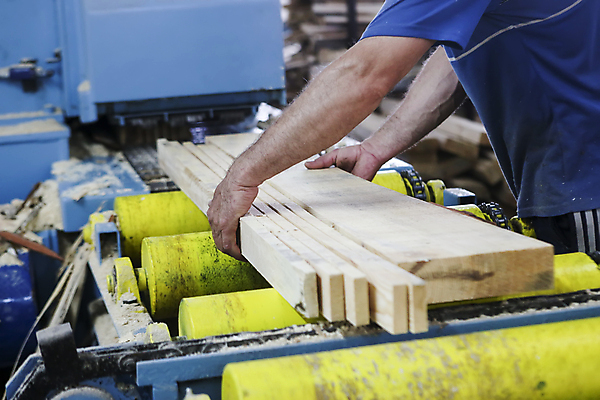 포토 JPG 해외이미지 산업 과학 공장 불꽃 관리 사람없음 목재 치료 금속 공구 업무 작업 체험 가장자리 떨어짐 제조 자르기 묘사 각도 열정 갈기 안심 공학 방사형 솜씨 송곳 용접 작업대 조작 철강 톱질 해외포토 나무 교육 감정 컨셉 재료 공업 의학 모션 재질 불 육류 도구 둘레 파일형식 이미지허브