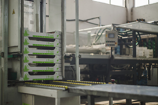 포토 JPG 해외이미지 식물 산업 선 음식 회사 비즈니스 포장 공장 교통시설 모션 새로움 사람없음 상자 금속 기계 장비 과학기술 벨트 흰색 공구 업무 제조 상품 컨테이너 로봇 창고 만들기 팩 패키지 짐싸기 방법 분배 자동 자동화 줄서기 컨베어밸트 해외포토 잡화 컬러 교통 컨셉 공업 재질 기술 화장품 도구 작업 시설 파일형식 이미지허브