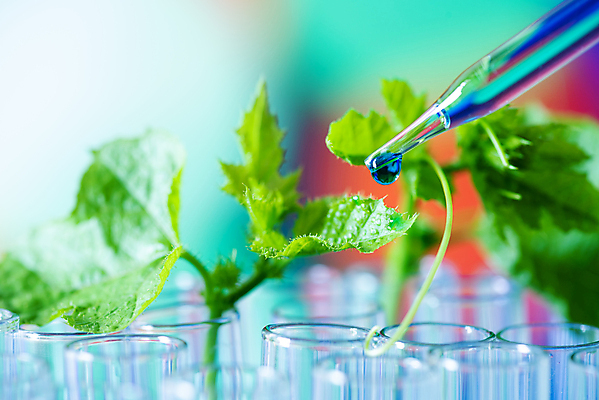 포토 JPG 해외이미지 식물 산업 과학 백그라운드 컨셉 잎 농업 유리 건강 현미경 실험 사람없음 초록색 파란색 약 장비 의사 흰색 액체 실험실 생명공학 약국 과학자 플라스크 분석 생물학 미생물 유리그릇 튜브 발견 조제 개발 바이오 생태학 화학물질 해외포토 직업 그릇 교육 컬러 의학 재질 생물 실험기구 의료진 화학 만들기 학자 파일형식 이미지허브