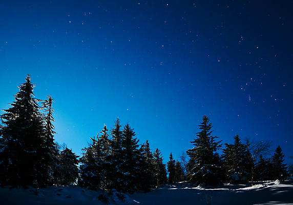 포토 JPG 해외이미지 나무 계절 별 과학 백그라운드 겨울 자연 하늘 휴가 불꽃 산 풍경 사람없음 파란색 우주 환경 검은색 어둠 꿈 안개 야간 숲 달빛 언덕 코스모스 서리 은하계 점성술 공상 마법 전나무 별빛 성운 내추럴 깊이 절정 가문비나무 해외포토 자연요소 식물 꽃 컬러 불 날씨 빛 달 생태계 파일형식 이미지허브