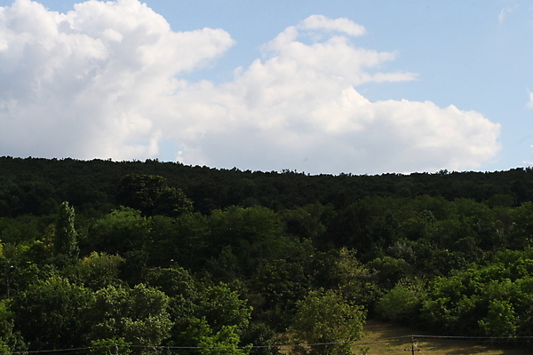 포토 JPG 해외이미지 나무 구름 도로 얼굴 음식 백그라운드 밭 인터넷 텍스트 가족 하늘 추상 거리 사랑 미술 서기 사람 사람없음 야외 건물 초록색 물 친구 노트북 스마트폰 사무실 유행 문 기차 도시 큼 책상 사인 경영자 질감 고립 돌봄 스타일 해외포토 자연요소 식물 건축물 감정 길 육상교통 컬러 가구 무늬 농업 비즈니스 관계 교통시설 모션 문화예술 대중교통 신체부위 전자제품 핸드폰 스마트기기 크기 리더 파일형식 이미지허브