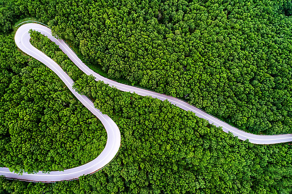 포토 JPG 해외이미지 나무 도로 여행 낙엽 밭 교통시설 자동차 자연 안테나 풍경 사람없음 야외 초록색 여름 환경 시골 고속도로 숲 아스팔트 잼 짐차 침엽수 전나무 조감도 해외포토 식물 계절 길 육상교통 컬러 교통 잎 농업 통신 소스_음식 시설 생태계 파일형식 이미지허브