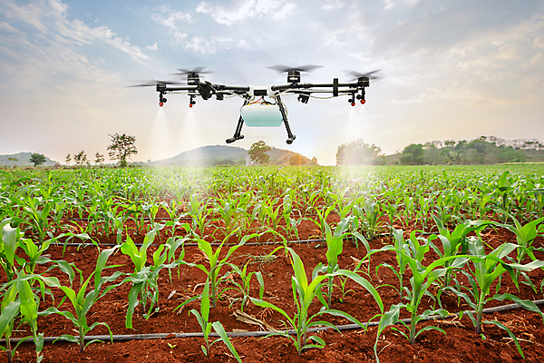 포토 JPG 해외이미지 식물 직업 산업 밭 농업 자연 안테나 옥수수 사람없음 초록색 물 노트북 컴퓨터 농장 환경 장비 수확 성장 시골 신선 달콤 농부 땅 스마트 와이파이 스프레이 분무기 시스템 멀리 내추럴 거름 드론 밭일 스프링쿨러 자동 제어 지능 화학물질 AI_인공지능 해외포토 자연요소 컬러 컨셉 통신 곡류 전자제품 화학 맛 생태계 무선인터넷 파일형식 이미지허브