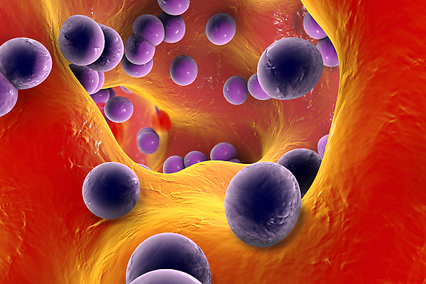 포토 JPG 해외이미지 과학 백그라운드 일러스트 뼈 세포 건강 현미경 사람 사람없음 약 3D 고통 열 바이러스 닫기 질병 공격 생물학 싸움 감염 미생물 박테리아 전염병 해외일러스트 교육 감정 의학 모션 생물 실험기구 디지털합성 파일형식 이미지허브