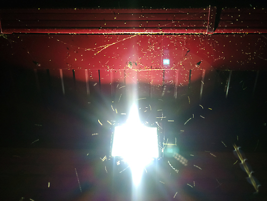 포토 JPG 해외이미지 디자인 공원 곤충 백그라운드 날개 전구 자연 유리 조명 거리 주택 사람없음 장식 여름 빛 어둠 에너지 수확 등불 램프 반지 도시 화려 야간 오브젝트 복고 나방 연소 옛날 스타일 해외포토 자연요소 동물 계절 공공시설 컨셉 농업 장신구 재질 건물 생태계 파일형식 이미지허브