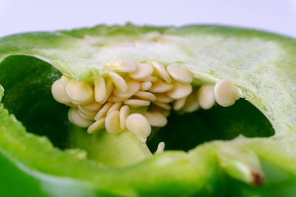 포토 JPG 해외이미지 음식 조각 백그라운드 농업 다이어트 채소 과일 재료 자연 고추 파프리카 건강 요리 사람없음 초록색 빛 수확 종 흰색 신선 그룹 달콤 맛 자르기 먹기 오브젝트 싱글 유기농 날것 슬라이스 후추 내추럴 강렬 고립 숙성 채식주의자 비건 해외포토 웰빙 산업 컬러 컨셉 모션 향신료 생태계 채식 파일형식 이미지허브