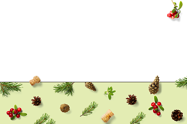포토 JPG 해외이미지 나무 식물 디자인 계절 백그라운드 컨셉 크리스마스 겨울 패턴 자연 벽지 탁자 휴가 새로움 프레임 선물 사람없음 목재 장식 우주 축제 흰색 나뭇가지 축하 소나무 신용카드 플랫 정상 담요 연도 책상 니트 레이아웃 머리위 위치 전나무 원뿔 구성 목업 미니멀 해외포토 도형 기념일 컬러 가구 상의 무늬 재료 금융 생태계 파일형식 이미지허브