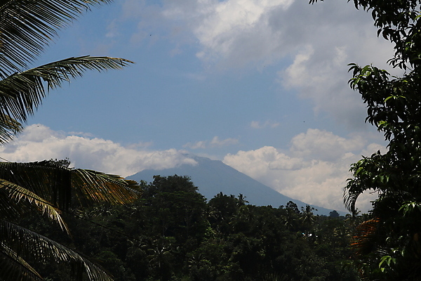 포토 JPG 해외이미지 나무 식물 구름 아시아 문화 섬 여행 백그라운드 잎 자연 하늘 산 풍경 사람없음 야외 목재 가로 초록색 여름 파란색 하이앵글 컬러풀 시골 황무지 숲 언덕 환경보전 화산 발리 인도네시아 용암 내추럴 삼림지대 해외포토 자연요소 계절 나라 뷰포인트 컬러 재료 사회이슈 생태계 파일형식 이미지허브