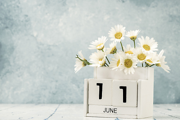 포토 JPG 해외이미지 식물 템플릿 계절 꽃 꽃다발 백그라운드 컨셉 탁자 사람없음 목재 여름 숫자 노란색 다이어리 보라색 블록 수확 달력 흰색 시간 날짜 계획 6월 연도 큐브 오브젝트 질감 복고 데이지 내추럴 월 옛날 오늘 조언 카피스페이스 해외포토 나무 문자 컬러 가구 농업 재료 사무용품 공백 파일형식 이미지허브
