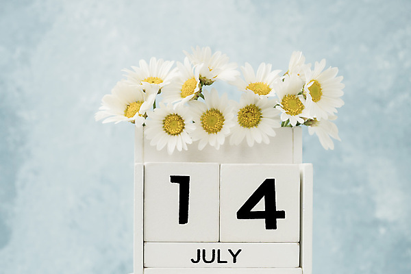 포토 JPG 해외이미지 식물 템플릿 계절 꽃 꽃다발 백그라운드 컨셉 사람없음 목재 파란색 숫자 노란색 다이어리 블록 수확 달력 흰색 시간 날짜 계획 큐브 오브젝트 질감 복고 데이지 7월 내추럴 월 옛날 오늘 조언 카피스페이스 해외포토 나무 문자 컬러 농업 재료 사무용품 공백 파일형식 이미지허브