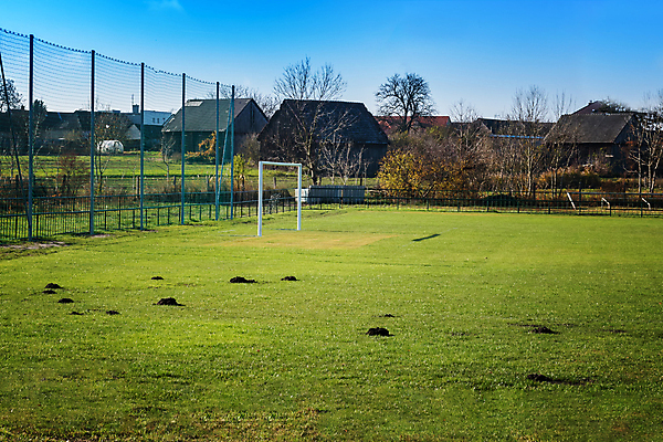 포토 JPG 해외이미지 지구 스포츠 밭 표면 잔디 사람없음 야외 초록색 빛 햇빛 축구 흙 독약 언덕 준비 먼지 점토 살인 두더지 해외포토 식물 컬러 농업 태양 구기 범죄 파일형식 이미지허브