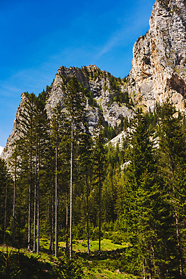 포토 JPG 해외이미지 나무 응시 유럽 호수 여행 백그라운드 자연 하늘 휴가 휴식 산 사람 풍경 사람없음 야외 초록색 물 여름 파란색 컬러풀 평화 우주 맑음 점 오스트리아 숲 크리스탈 알프스 방문 해외포토 자연요소 식물 시선 계절 나라 컬러 컨셉 날씨 광석 생태계 파일형식 이미지허브