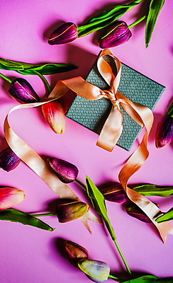 포토 JPG 해외이미지 리본 잎 사람없음 선물상자 튤립 분홍색배경 해외포토 식물 꽃 분홍색 백그라운드 선물 상자 파일형식 이미지허브