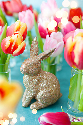 포토 JPG 해외이미지 꽃 꽃무늬 봄꽃 휴가 부활절 사람없음 세로 컬러풀 축제 봄 튤립 벚꽃 토끼 개화 해외포토 식물 계절 기념일 컬러 무늬 포유류 반려동물 파일형식 이미지허브