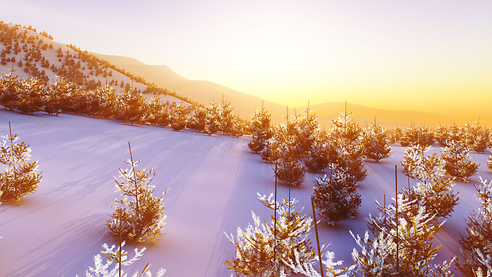 포토 JPG 해외이미지 나무 외관 계절 공원 여행 백그라운드 잎 겨울 일러스트 자연 하늘 휴가 산 안테나 풍경 사람없음 야외 빛 햇빛 태양 3D 일출 골짜기 냉동 얼음 일몰 봄 새벽 추위 안개 붓 소나무 숲 서리 장면 산악지대 삼림지대 절정 눈내림 해외포토 자연요소 식물 공공시설 통신 날씨 눈_날씨 노을 디지털합성 생태계 파일형식 이미지허브