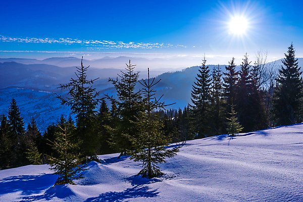 포토 JPG 해외이미지 나무 구름 유럽 여행 겨울 자연 하늘 휴가 스키 산 파노라마 풍경 사람없음 야외 파란색 태양 일출 맑음 냉동 얼음 새벽 트래킹 하이킹 추위 성장 흰색 소나무 숲 언덕 서리 북쪽 슬로프 산악지대 웅장함 절정 폭설 눈내림 가문비나무 해외포토 자연요소 식물 계절 나라 컬러 레저 날씨 겨울스포츠 스키장 눈_날씨 촬영기법 노을 자연재해 방향 생태계 파일형식 이미지허브