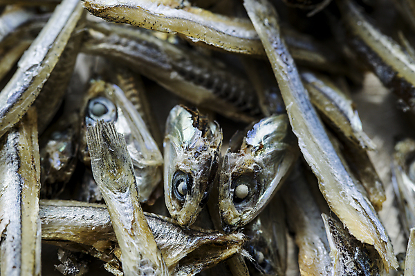 포토 JPG 해외이미지 스튜디오촬영 동물 음식 백그라운드 컨셉 재료 자연 생물 건조 건강 어류 요리 동양인 사람없음 쌓기 일본 시장 닫기 작음 먹기 해산물 질감 날것 머리위 내추럴 고립 동물상 절임 정물화 짠맛 많음 해외포토 아시아 모션 실내 인종 조형물 수중동물 맛 크기 그림 생태계 파일형식 이미지허브