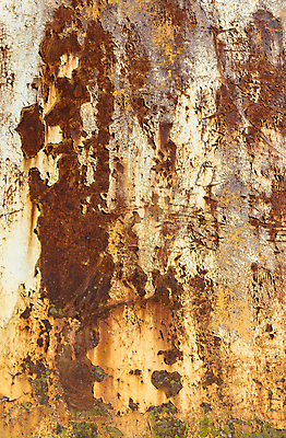 포토 JPG 해외이미지 백그라운드 오렌지 표면 날씨 추상 사람없음 빨간색 세로 갈색 금속 수확 도시 판넬 거친 묘사 부식 질감 그런지 썩음 옛날 철강 해외포토 컬러 무늬 농업 과일 재질 파일형식 이미지허브