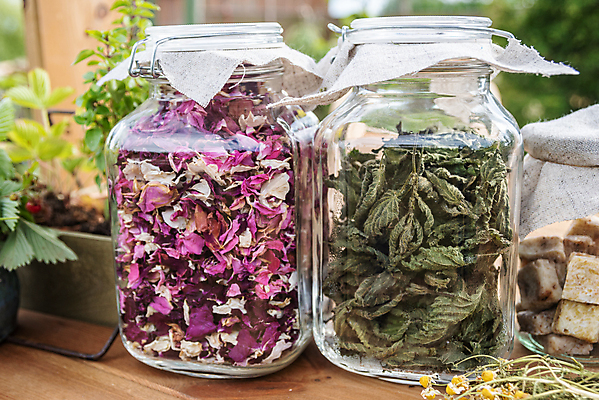 포토 JPG 해외이미지 식물 라이프스타일 꽃 음료 음식 백그라운드 잎 재료 유리 탁자 건조 건강 사람없음 목재 빨간색 초록색 약 정원 시골 신선 항아리 양념 다발 민트 허브 향신료 유기농 향기 아로마 흙더미 고립 스피아민트 해외포토 나무 웰빙 컬러 가구 의학 재질 생활 흙 도자기 냄새 향미료 파일형식 더미 이미지허브