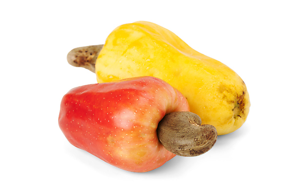 포토 JPG 해외이미지 음식 잎 농업 채소 과일 자연 건강 요리 씨앗 사람없음 야외 빨간색 세로 약 농장 노란색 쌓기 사진촬영 미국 견과류 수확 신선 그룹 시장 사과 농부 다발 브라질 남쪽 내추럴 밭일 숙성 캐슈넛 브라질사람 해외포토 식물 직업 산업 컬러 북아메리카 의학 모션 촬영 남아메리카 방향 생태계 파일형식 이미지허브