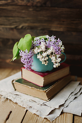 포토 JPG 해외이미지 실내 사람없음 책 쌓기 물뿌리개 라일락 해외포토 꽃 모션 내부 파일형식 이미지허브