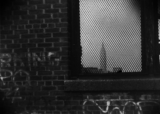 포토 JPG 해외이미지 디자인 외관 문화 벽 백그라운드 패턴 건축양식 추상 벽돌 새로움 거리 주택 미술 사람없음 건물 단어 갈색 미국 페인트 기록 도시 바 재산 도심 보호 그래피티 주차 철 질감 뉴욕 타운 맨해튼 그런지 빈민가 옛날 해외포토 문자 건축물 건축 컬러 컨셉 북아메리카 무늬 문화예술 금융 낙서 그림 파일형식 이미지허브