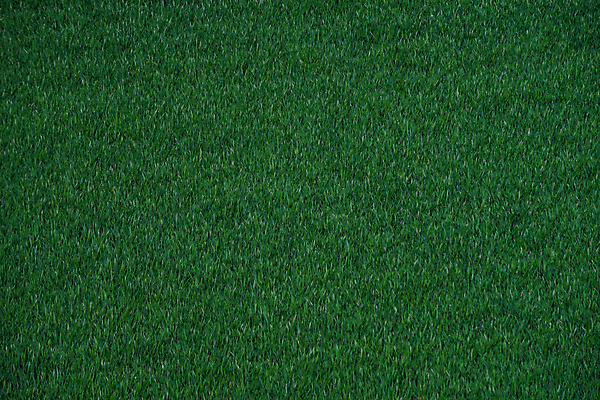 포토 JPG 해외이미지 식물 공원 백그라운드 잎 패턴 밭 골프 자연 벽지 추상 풍경 잔디 사람없음 야외 초록색 여름 우주 환경 정원 축구 봄 성장 신선 땅 자르기 원예 질감 내추럴 땅바닥 바이탈 해외포토 계절 공공시설 컬러 무늬 농업 모션 바닥 취미 구기 생태계 파일형식 이미지허브