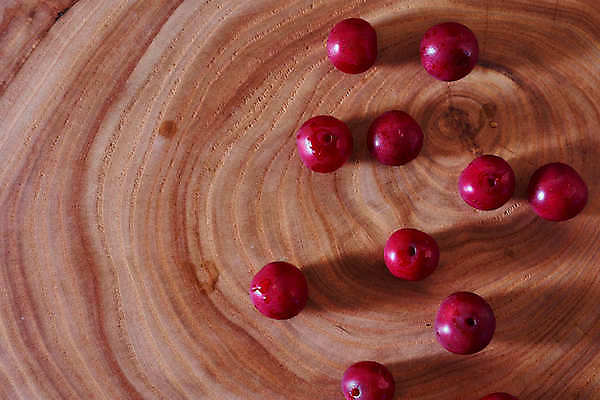 포토 JPG 해외이미지 산업 음식 줄기 잎 재료 자연 건강 사람없음 가로 빨간색 빛 농작물 봄 체리 맛 다발 상쾌 질감 흙더미 건강식 숙성 해외포토 식물 계절 감정 컬러 컨셉 농업 과일 흙 생태계 파일형식 더미 이미지허브