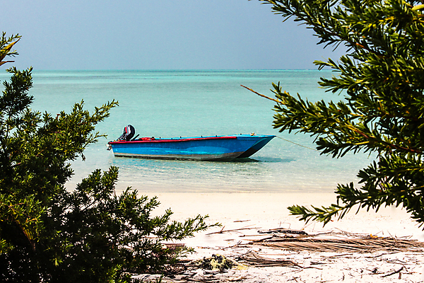 포토 JPG 해외이미지 나무 전통 공원 호수 스포츠 바다 섬 여행 항해 사람없음 야외 목재 초록색 물 파란색 강 평화 보트 틈 닫기 작음 주차 모터 해외포토 자연요소 식물 공공시설 컬러 컨셉 배_교통 재료 모션 크기 파일형식 이미지허브