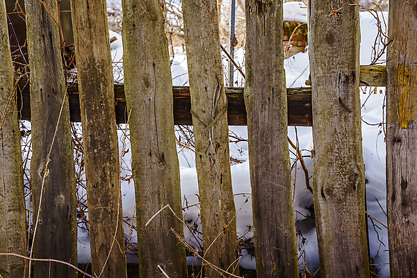 포토 JPG 해외이미지 나무 식물 디자인 선 벽 백그라운드 패턴 표면 날씨 사람없음 야외 목재 장식 가로 세로 울타리 정원 어둠 줄무늬 시골 못 판넬 거친 균열 널 가난 버리기 폐허 질감 다리찢기 내추럴 수목 옛날 해외포토 컨셉 무늬 재료 모션 담장 공구 파일형식 이미지허브