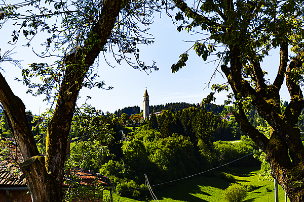 포토 JPG 해외이미지 나무 외관 공원 꽃 유럽 여행 건축양식 자연 휴식 산 주택 파노라마 풍경 사람없음 야외 건물 목재 교회 마을 탑 계곡 봄 이탈리아 종 바위 최고 작음 알프스 타운 종탑 해외포토 식물 건축물 계절 공공시설 건축 나라 컨셉 재료 종교건축 촬영기법 돌_바위 도시 크기 생태계 파일형식 이미지허브