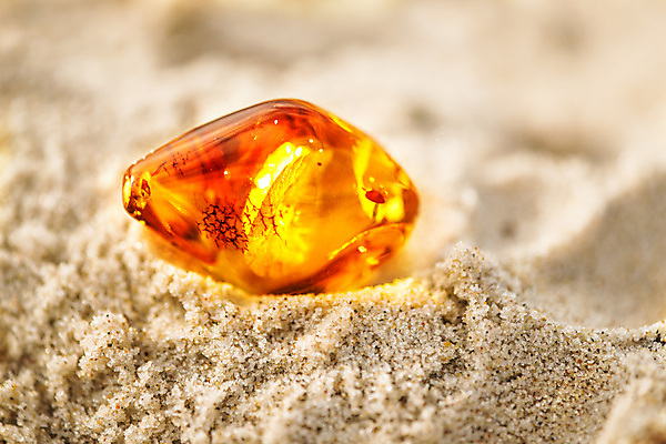 포토 JPG 해외이미지 자연 사람없음 빛 주황색 투명 보석 화석 앰버 해외포토 컬러 광석 생태계 파일형식 이미지허브