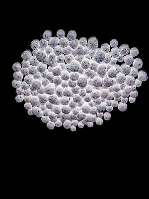 포토 JPG 해외이미지 접시 음식 백그라운드 재료 건조 요리 씨앗 사람없음 목재 세트 갈색 노란색 숟가락 흰색 신선 뜨거움 양념 조미료 사발 맛 정상 작음 낟알 수집 머스터드 향신료 유기농 매움 날것 아로마 향 아로마테라피 흙더미 내추럴 고립 입가심 채식주의자 해외포토 나무 식물 식기 웰빙 컬러 컨셉 수저 흙 사기그릇 소스_음식 크기 채식 테라피 향미료 파일형식 더미 이미지허브