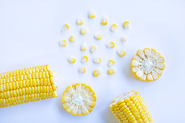포토 JPG 해외이미지 단면 실내 옥수수 사람없음 하이앵글 흰배경 옥수수알갱이 해외포토 뷰포인트 백그라운드 곡류 내부 흰색 파일형식 이미지허브