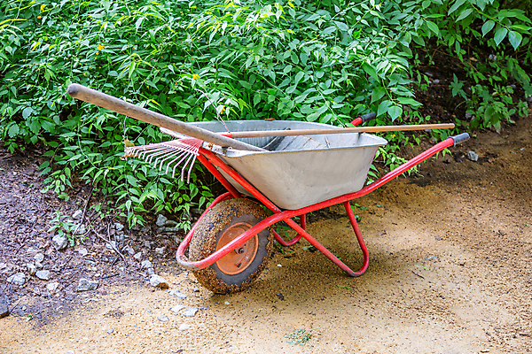 포토 JPG 해외이미지 주간 나무 식물 공원 꽃 백그라운드 가정 모션 자연 잔디 사람없음 야외 초록색 금속 정원 카트 수레 장비 화물 공구 업무 바퀴 수리 은색 핸들 철 양동이 오브젝트 원예 타이어 기어 내추럴 뒤뜰 복원 업그레이드 조작 해외포토 자연요소 공공시설 컬러 재질 취미 운송업 도구 작업 생태계 파일형식 이미지허브