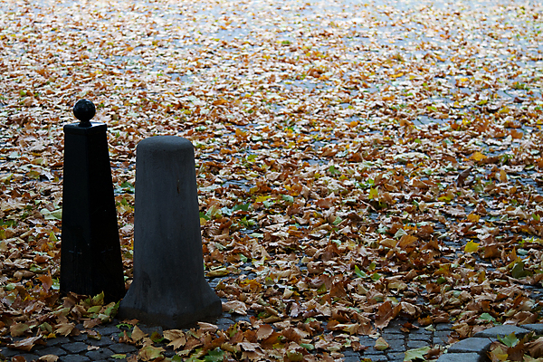 포토 JPG 해외이미지 나무 동물 구름 자연 조류 하늘 바람 휴가 영국 잉글랜드 이끼 사람없음 여름 파란색 빛 강 태양 농장 걷기 믿음 동전 하이킹 시골 양 소 농부 요크셔테리어 방향 나무껍질 옛날 전국 해외포토 자연요소 식물 직업 계절 감정 유럽 컬러 돈 농업 포유류 모션 레저 날씨 껍질 테리어 생태계 파일형식 이미지허브