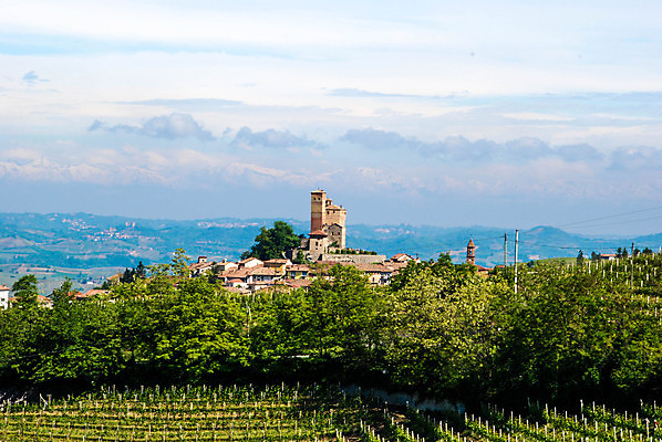 포토 JPG 해외이미지 나무 구름 유럽 여행 밭 농업 자연 하늘 포도 휴가 풍경 사람없음 야외 초록색 여행객 와인 이탈리아 성장 농촌 시골 언덕 조경 포도밭 일렬 포도나무 타운 산기슭 내추럴 양조장 줄서기 해외포토 자연요소 식물 나라 산업 컬러 과일 모션 산 주류 사람 도시 과일나무 생태계 파일형식 이미지허브