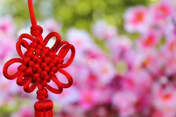 포토 JPG 해외이미지 나무 계절 꽃 분홍색 백그라운드 돈 꽃무늬 자연 성공 새해 동양인 사람없음 야외 빨간색 금융 금속 정원 동전 중국 봄 수확 벚꽃 행운 재산 황금 심볼 무역 매듭 영원 해외포토 식물 산업 아시아 컬러 컨셉 무늬 농업 재질 인종 경제 생태계 파일형식 이미지허브