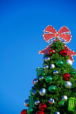 포토 JPG 해외이미지 나무 계절 행복 별 종교 크리스마스 겨울 공 휴가 친절 기념 선물 사람없음 장식 빛 장난감 크리스마스트리 산타클로스 반사 축제 희망 하트 소나무 예수 눈송이 12월 신성 광 노엘 여의주 클라우스 해외포토 자연요소 모양 식물 기념일 감정 눈_날씨 신_종교 날짜 파일형식 이미지허브