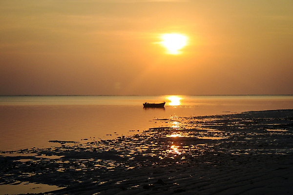 포토 JPG 해외이미지 실루엣 모래 바다 자연 하늘 아침 불꽃 그림자 풍경 사람없음 물 빛 반사 일출 일몰 새벽 광선 보트 황금 오브젝트 마법 광 수평선 해외포토 주간 자연요소 배_교통 불 촬영기법 노을 생태계 파일형식 이미지허브
