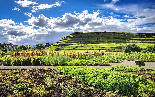 포토 JPG 해외이미지 나무 구름 문화 길 벽 하늘 산 사람없음 야외 초록색 파란색 빛 정원 미국 골동품 바위 사찰 남아메리카 역사 원주민 라틴아메리카 땅 조경 먼지 에콰도르 고고학 땅파기 옛날 잉카 파멸 해외포토 자연요소 식물 교육 컬러 컨셉 북아메리카 종교건축 아메리카 돌_바위 아프리카인 파일형식 소멸 이미지허브